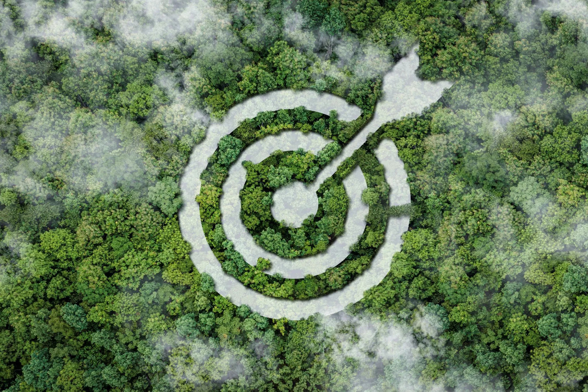 green goal